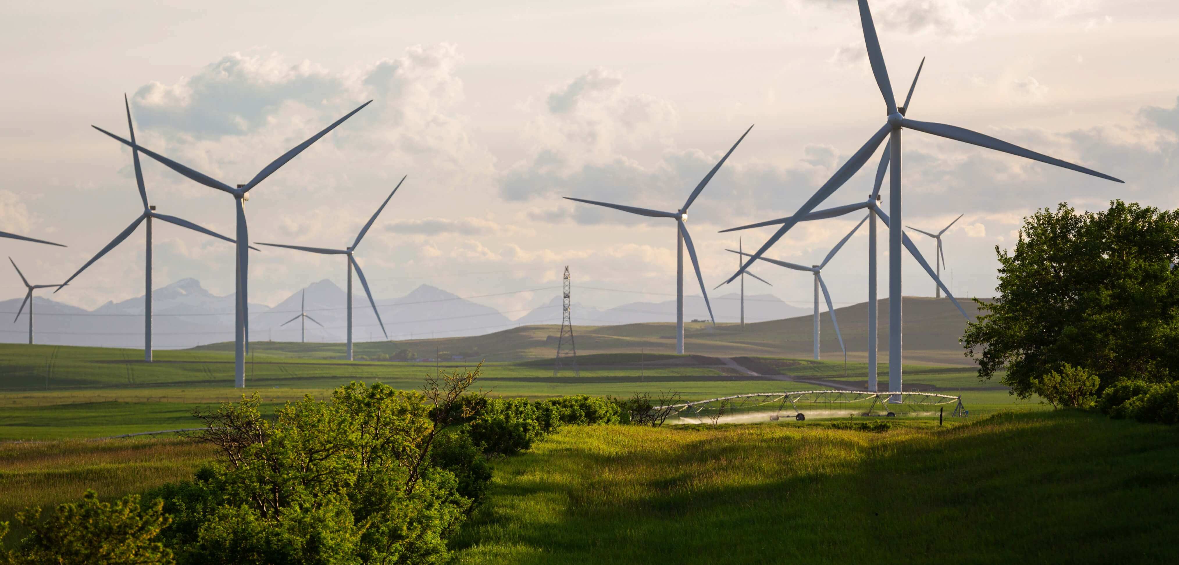 main banner 1802x864 Banner